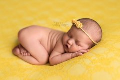 shelley-barrett-photography-pensacola-pace-milton-jay-navarre-gulf-breeze-perdido-bay-florida-panhandle-newborn-baby-boy-girl-portrait-photographer-pictures-12