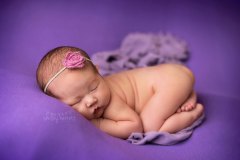 shelley-barrett-photography-pensacola-pace-milton-jay-navarre-gulf-breeze-perdido-bay-florida-panhandle-newborn-baby-boy-girl-portrait-photographer-pictures-27