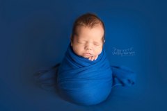 shelley-barrett-photography-pensacola-pace-milton-jay-navarre-gulf-breeze-perdido-bay-florida-panhandle-newborn-baby-boy-girl-portrait-photographer-pictures-3