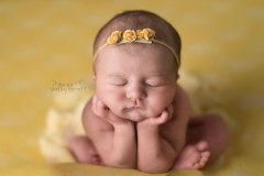 shelley-barrett-photography-pensacola-pace-milton-jay-navarre-gulf-breeze-perdido-bay-florida-panhandle-newborn-baby-boy-girl-portrait-photographer-pictures-37