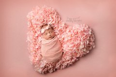 shelley-barrett-photography-pensacola-pace-milton-jay-navarre-gulf-breeze-perdido-bay-florida-panhandle-newborn-baby-boy-girl-portrait-photographer-pictures-38