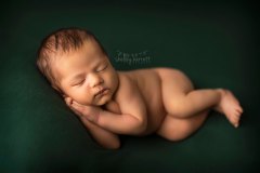 shelley-barrett-photography-pensacola-pace-milton-jay-navarre-gulf-breeze-perdido-bay-florida-panhandle-newborn-baby-boy-girl-portrait-photographer-pictures-5