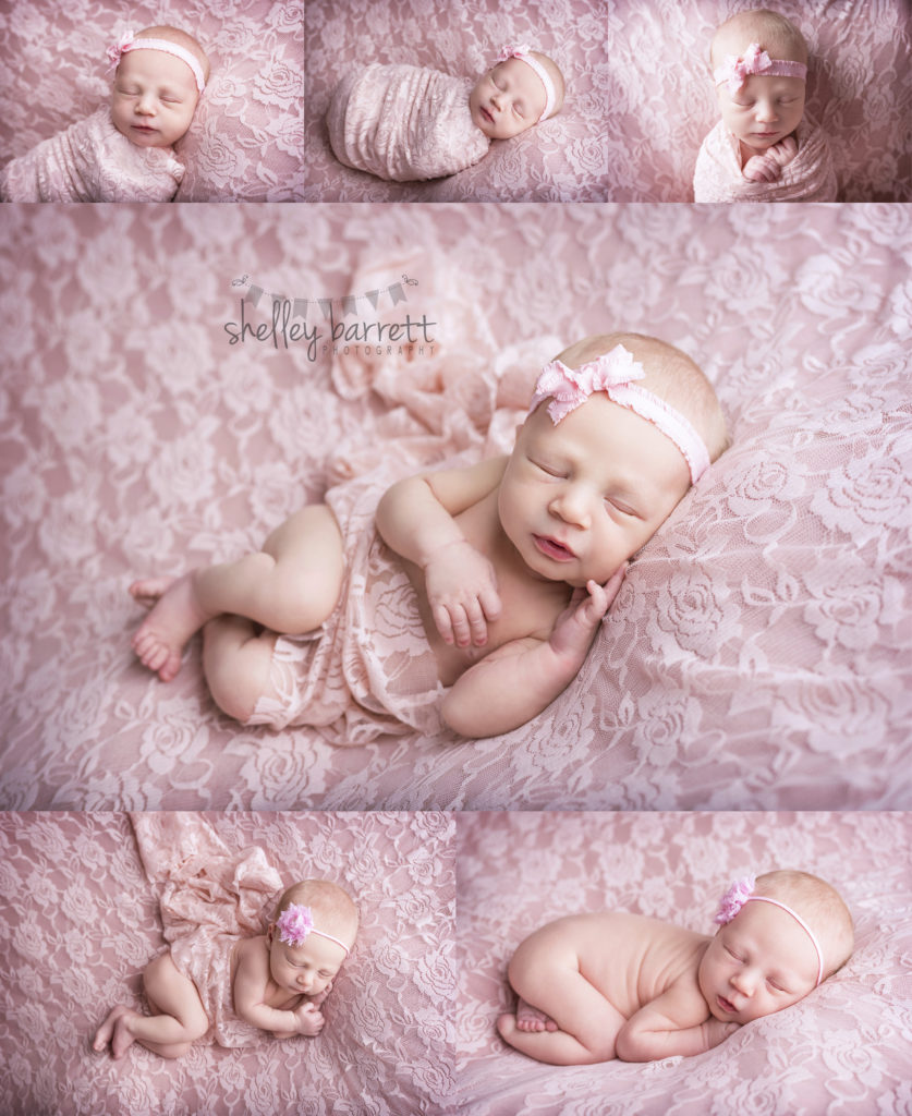 Shelley Barrett Photography Pensacola, Pace, Milton, Navarre, Gulf Breeze, Jay, Florida Panhandle, Newborn Baby Girl Portrait Photographer, Photography, Karoline