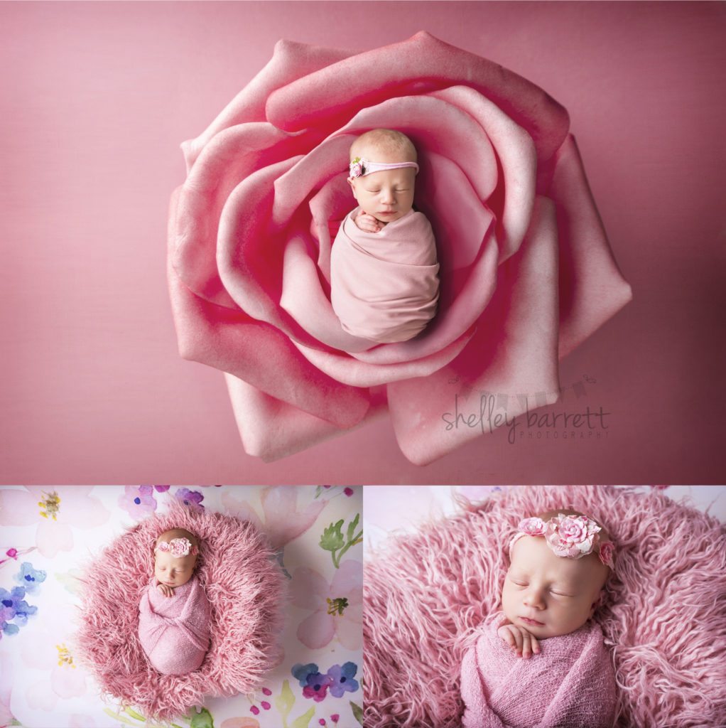 Shelley Barrett Photography Pensacola, Pace, Milton, Navarre, Gulf Breeze, Jay, Florida Panhandle, Newborn Baby Girl Portrait Photographer, Photography, Karoline