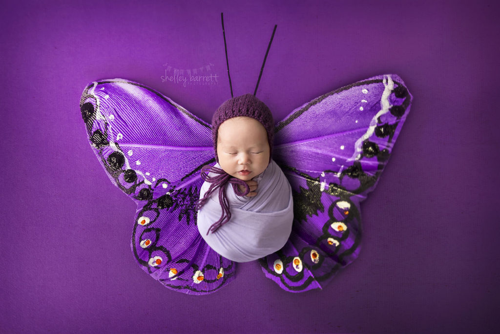 Shelley Barrett Photography, Pensacola, Pace, Milton, Jay, Navarre Beach, Gulf Breeze, Perdido Key, Cantonment, Florida Panhandle, Newborn Baby Girl Portrait Photographer