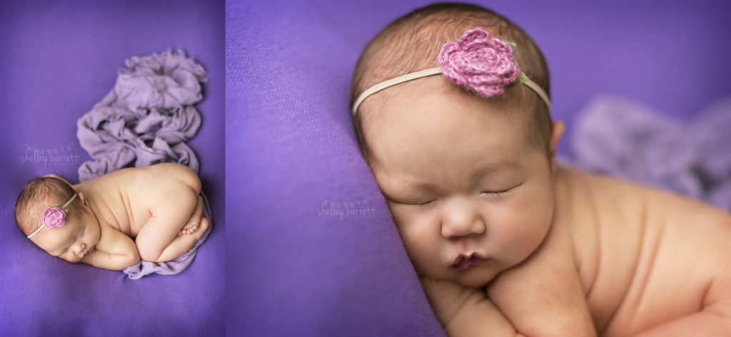 Shelley Barrett Photography, Pensacola, Pace, Milton, Jay, Navarre Beach, Gulf Breeze, Perdido Key, Cantonment, Florida Panhandle, Newborn Baby Girl Portrait Photographer