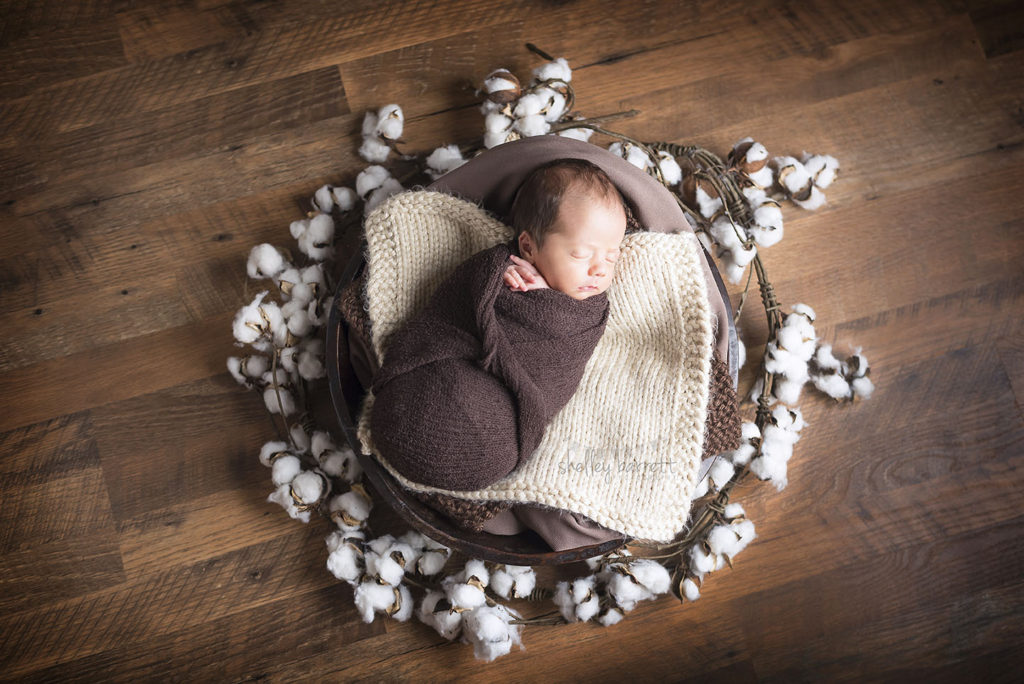 Shelley Barrett Photography | Pensacola, Pace, Milton, Navarre Beach, Jay, Cantonment, Gulf Breeze, Perdido Key, Newborn Baby Boy Portrait Photographer