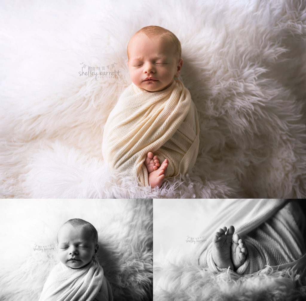 Shelley Barrett Photography | Pensacola, Pace, Milton, Jay, Navarre, Gulf Breeze, Florida Panhandle, Pensacola Beach | Newborn Baby Boy Portrait Photographer, Pictures