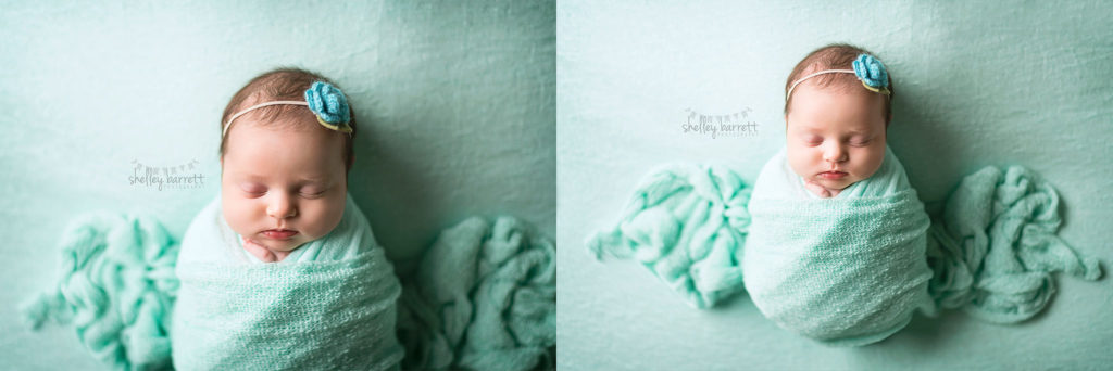 Shelley Barrett Photography | Pensacola, Pace, Milton, Jay, Navarre, Gulf Breeze Beach, Florida Panhandle | Newborn Baby Girl Photographer, Portrait, Pictures