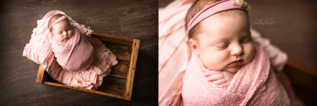 Shelley Barrett Photography | Pensacola, Pace, Milton, Jay, Navarre, Gulf Breeze Beach, Florida Panhandle | Newborn Baby Girl Photographer, Portrait, Pictures