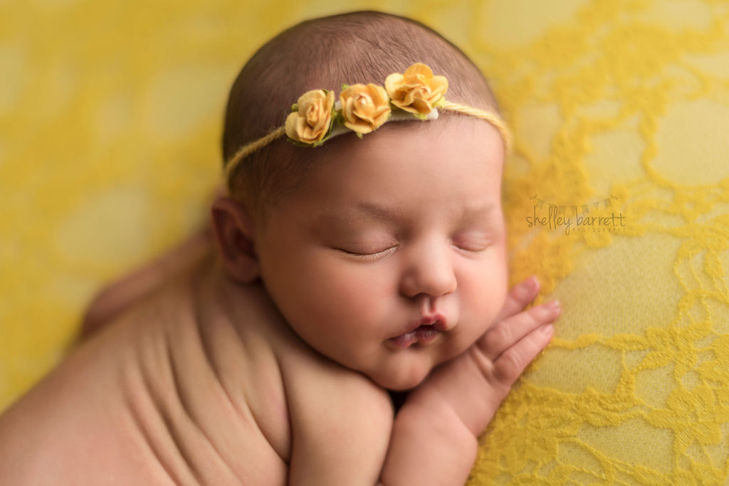 Pensacola Newborn Photographer | Shelley Barrett Photography