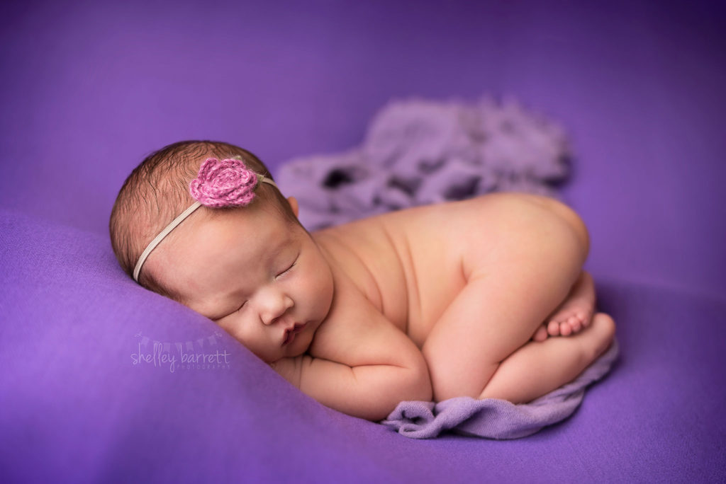 Pensacola Newborn Photographer | Shelley Barrett Photography
