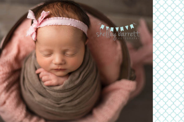 Shelley Barrett Photography | Pensacola, Pace, Navarre Beach, Gulf Breeze, Milton, Jay, Florida Panhandle, Newborn Baby Girl Portrait Photographer, Pictures