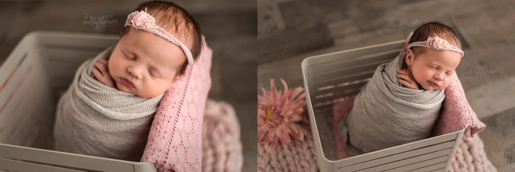 best newborn photography pensacola fl