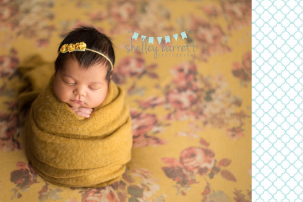 Shelley Barrett Photography | Pensacola, Pace, Milton, Gulf Breeze, Navarre Beach, Jay, Fort Walton, Florida, Newborn Baby Girl Portrait Photography Pictures