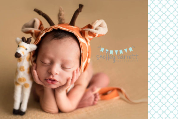Shelley Barrett Photography | Pensacola, Pace, Milton, Gulf Breeze, Navarre, Jay, Perdido Key, Beach, Florida Panhandle | Newborn Baby Boy Portrait PHotographer