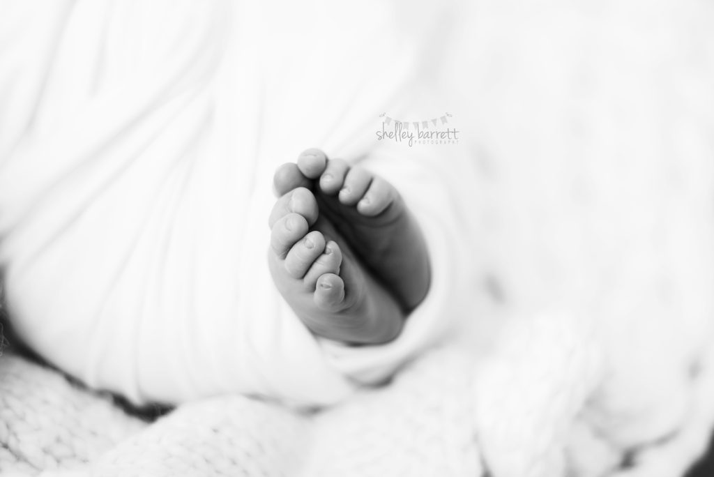 Shelley Barrett Photography | Pensacola, Pace, Milton, Gulf Breeze, Navarre, Jay, Perdido Key, Beach, Florida Panhandle | Newborn Baby Boy Portrait PHotographer