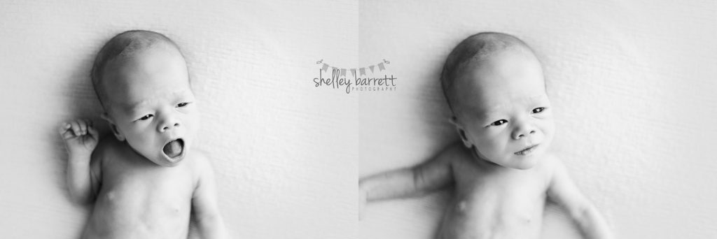 Shelley Barrett Photography | Pensacola, Pace, Milton, Gulf Breeze, Navarre, Jay, Perdido Key, Beach, Florida Panhandle | Newborn Baby Boy Portrait PHotographer