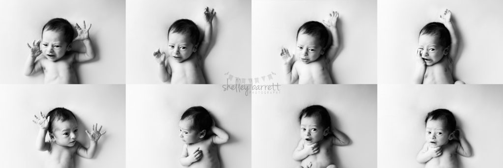 Shelley Barrett Photography | Pensacola, Pace, Milton, Gulf Breeze, Navarre, Jay, Perdido Key, Beach, Florida Panhandle | Newborn Baby Boy Portrait PHotographer