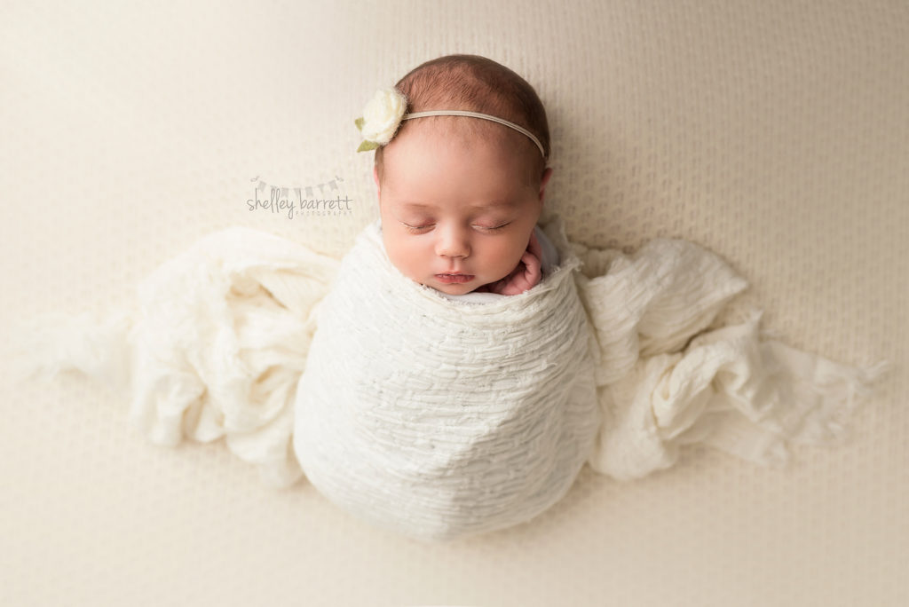 newborn photography pensacola fl