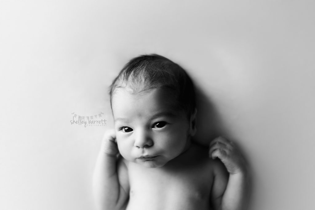 Shelley Barrett Photography | Pensacola, Pace, Milton, Jay, Navarre Beach, Perdido Key, Gulf Breeze, Florida Panhandle, Newborn Baby Boy Portrait Photographer | Pictures