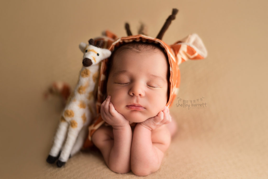 Shelley Barrett Photography | Pensacola, Pace, Milton, Jay, Navarre Beach, Perdido Key, Gulf Breeze, Florida Panhandle, Newborn Baby Boy Portrait Photographer | Pictures