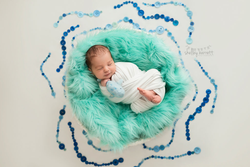 Shelley Barrett Photography | Pensacola, Pace, Milton, Jay, Navarre Beach, Perdido Key, Gulf Breeze, Florida Panhandle, Newborn Baby Boy Portrait Photographer | Pictures