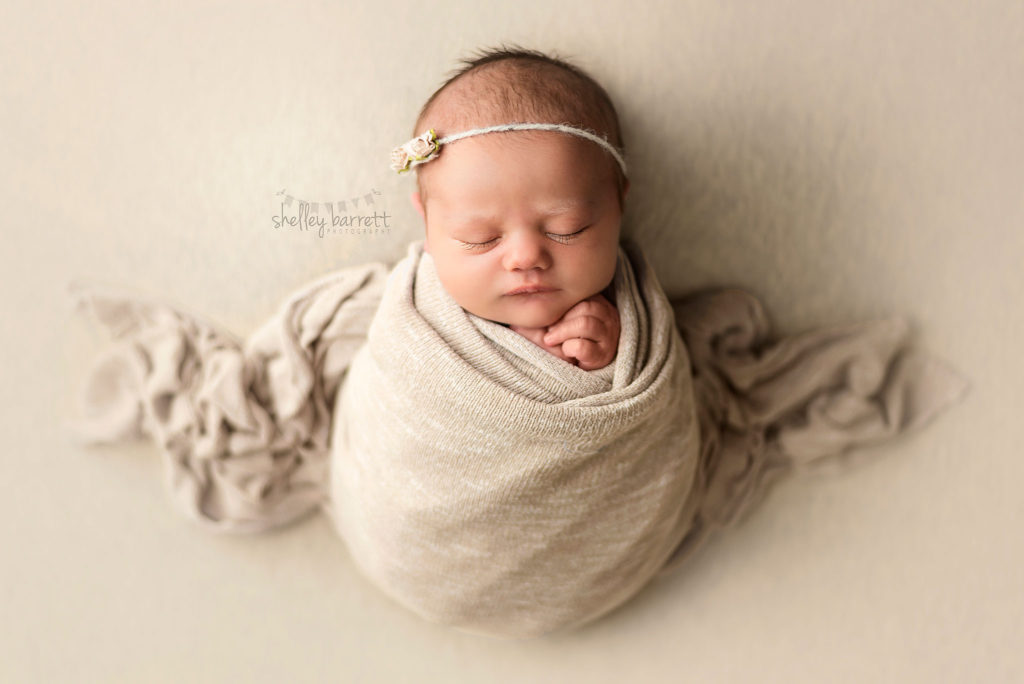 newborn photography pensacola fl