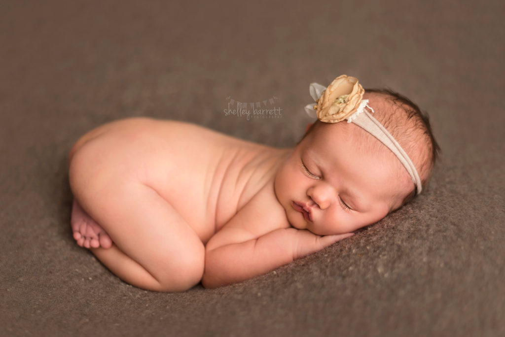 newborn photography pensacola fl