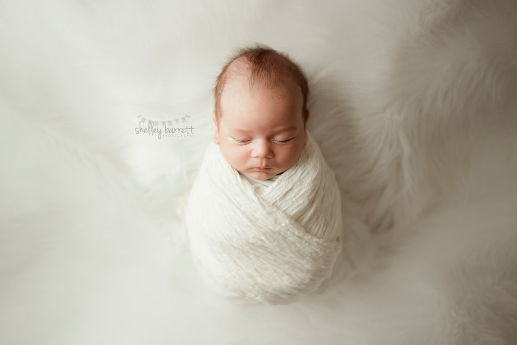 Pensacola Newborn Photographer