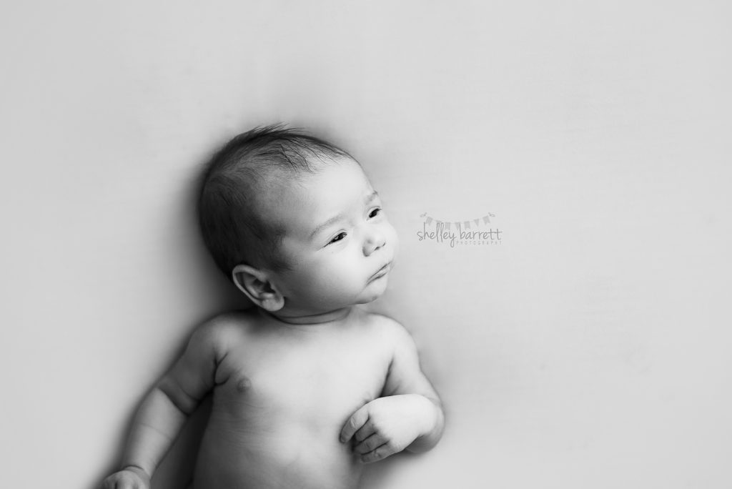 Pensacola Newborn Photographer