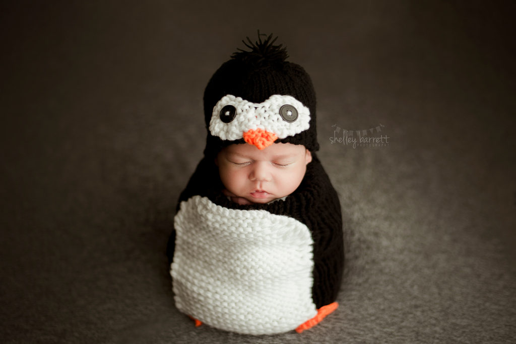 Pensacola Newborn Photographer