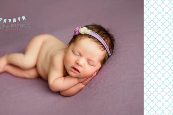 Shelley Barrett Photography | Newborn Baby Girl | Pensacola, Pace, Milton, Gulf Breeze, Navarre, Florida Panhandle | Photographer, Portrait Pictures Photo Pic