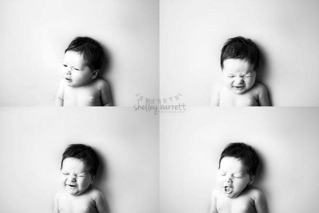 Shelley Barrett Photography | Newborn Baby Girl | Pensacola, Pace, Milton, Gulf Breeze, Navarre, Florida Panhandle | Photographer, Portrait Pictures Photo Pic