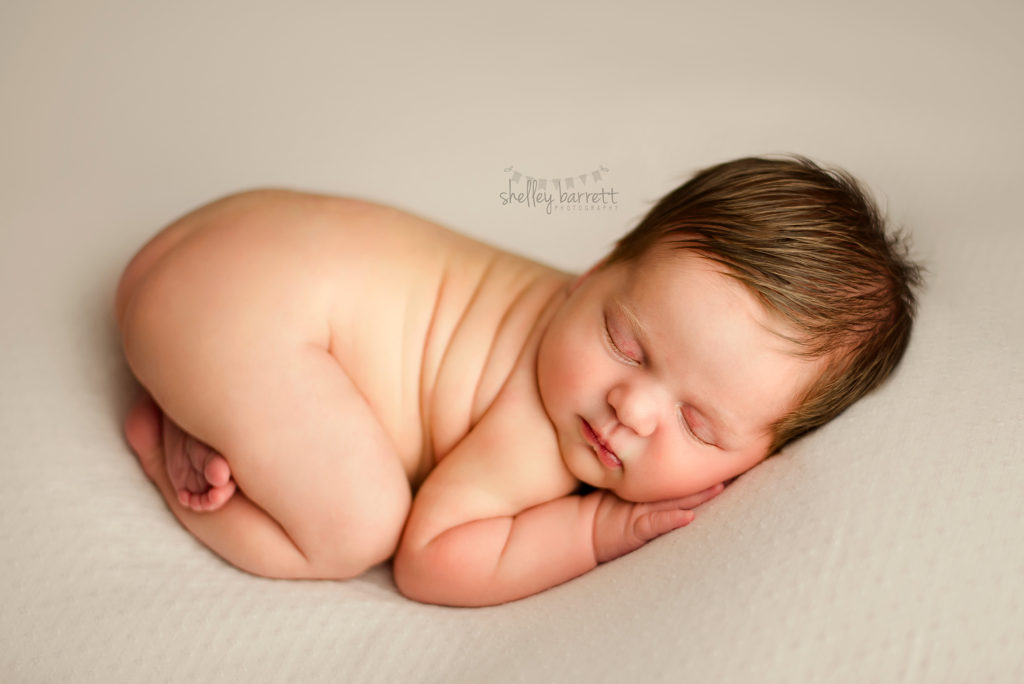 Shelley Barrett Photography | Newborn Baby Girl | Pensacola, Pace, Milton, Gulf Breeze, Navarre, Florida Panhandle | Photographer, Portrait Pictures Photo Pic