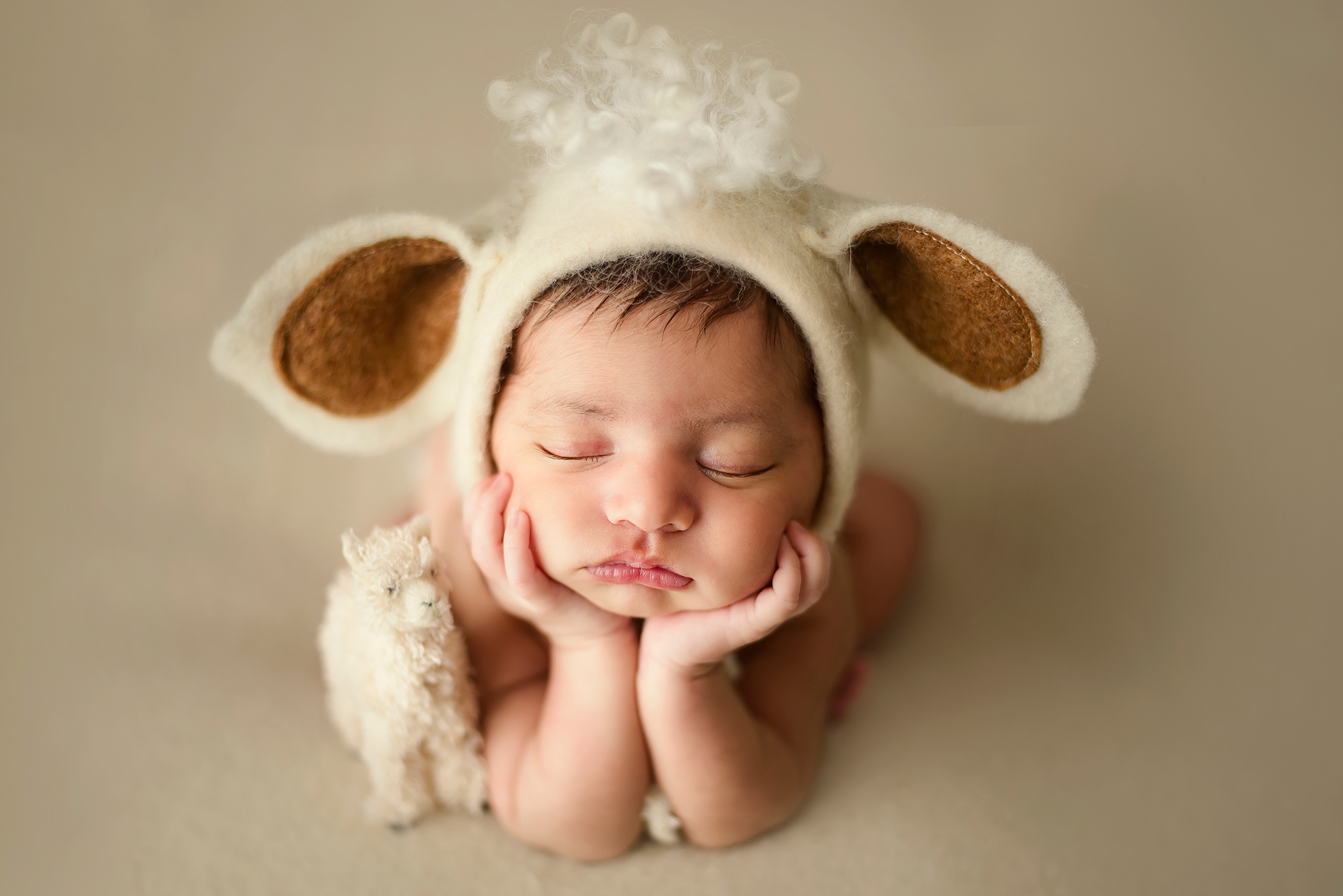 Birmingham AL newborn photography, Meadowbrook newborn photographer, newborn photography packages Mountain Brook AL