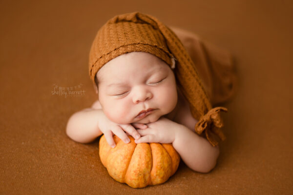 Pensacola, Florida newborn and family photographer, Shelley Barrett Photography takes adorable photos of a sweet baby girl in her Pace, Florida photography studio.