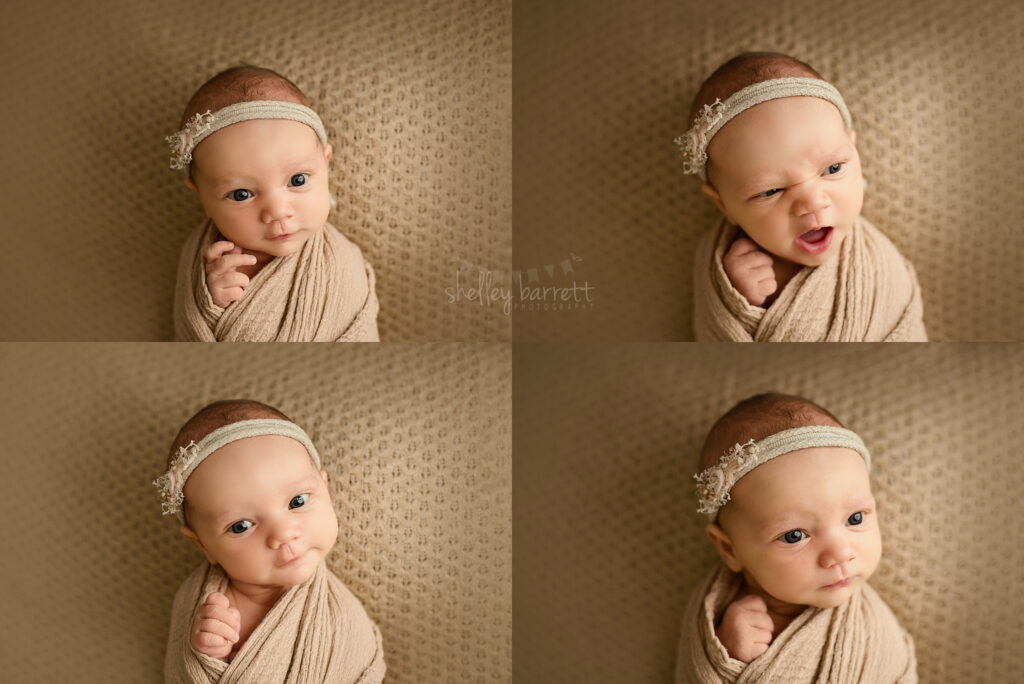 Navarre FL Newborn Photographer, Shelley Barrett Photography, Pensacola Pace Navarre Beach Milton Jay Ft. Walton Gulf Breeze Gulf Shores Mobile Florida Panhandle Alabama Newborn Portrait Picture Photographer Baby Girl Kate