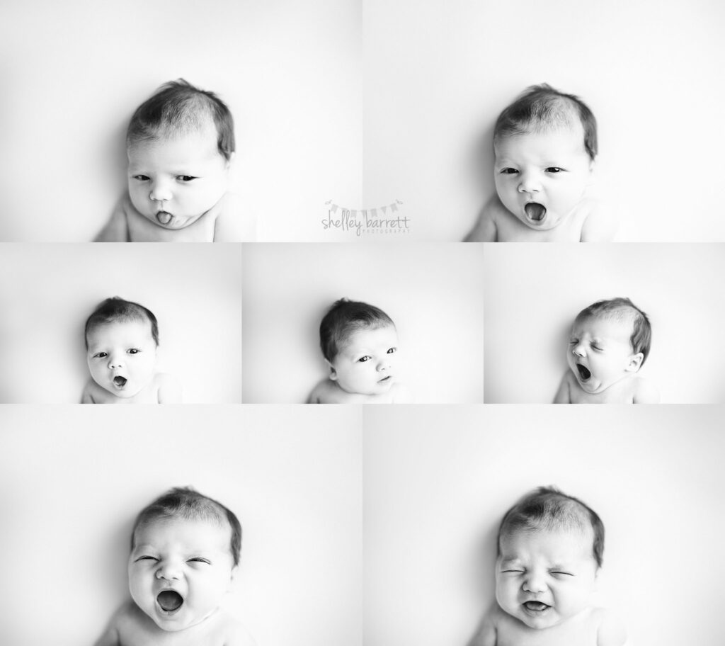 Newborn Photographer in Pensacola