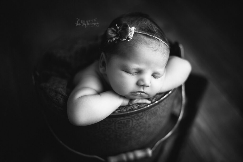 Shelley Barrett Photography - Pensacola Pace Milton Navarre Ft. Walton Orange Beach Gulf Breeze Gulf Shores Florida Alabama Newborn Baby Girl Infant Portrait Photographer