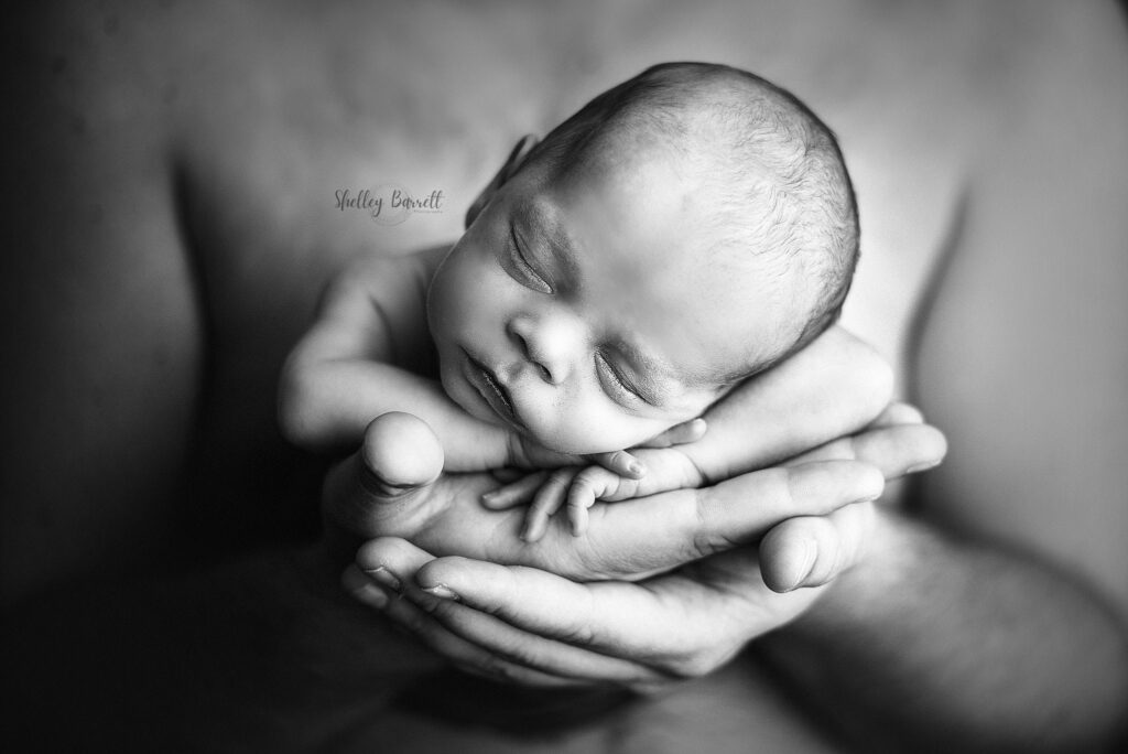 Pensacola Newborn Photographer, newborn photography packages, newborn portraits, baby photography in pensacola, professional newborn photos