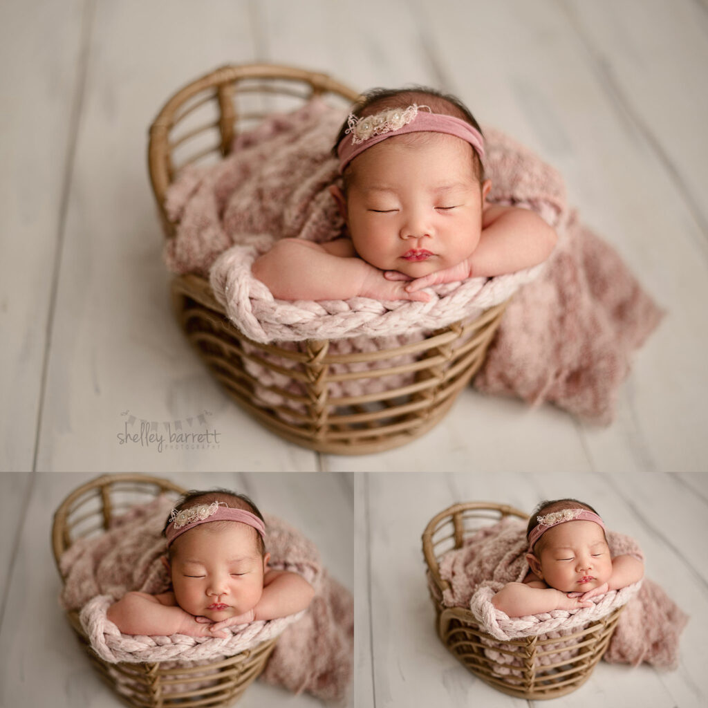Shelley Barrett Photography Pensacola Pace Mobile Milton Gulf Breeze Navarre Destin Florida Alabama Newborn Baby Girl Portrait Photographer