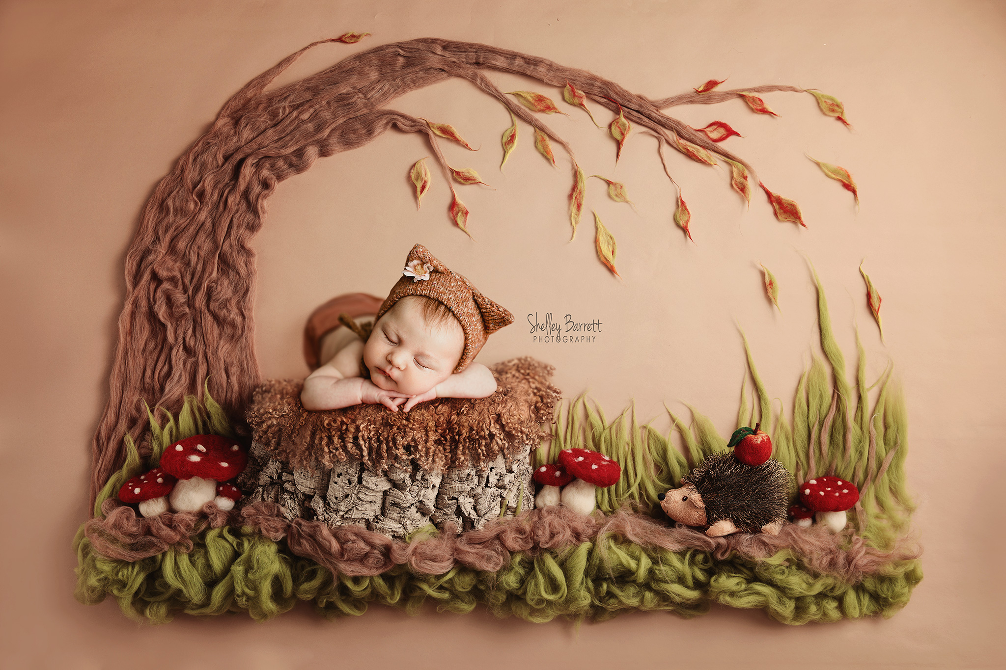 Newborn Baby Girl Willow, Pensacola Pace, Milton, Navarre, Fort Walton, Florida, Mobile, Gulf Shores Breeze, Alabama Portrait Photographer