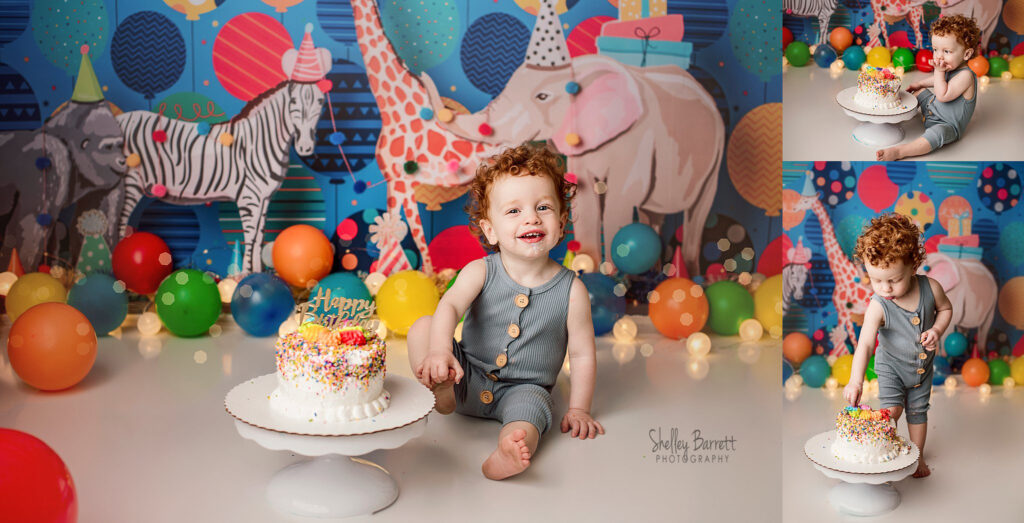 Cake Smash Milestone