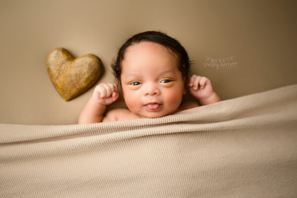 Shelley Barrett Photography, Pensacola Milton Pace Navarre Mobile Florida Alabama, Newborn Baby Boy Portrait Photographer
