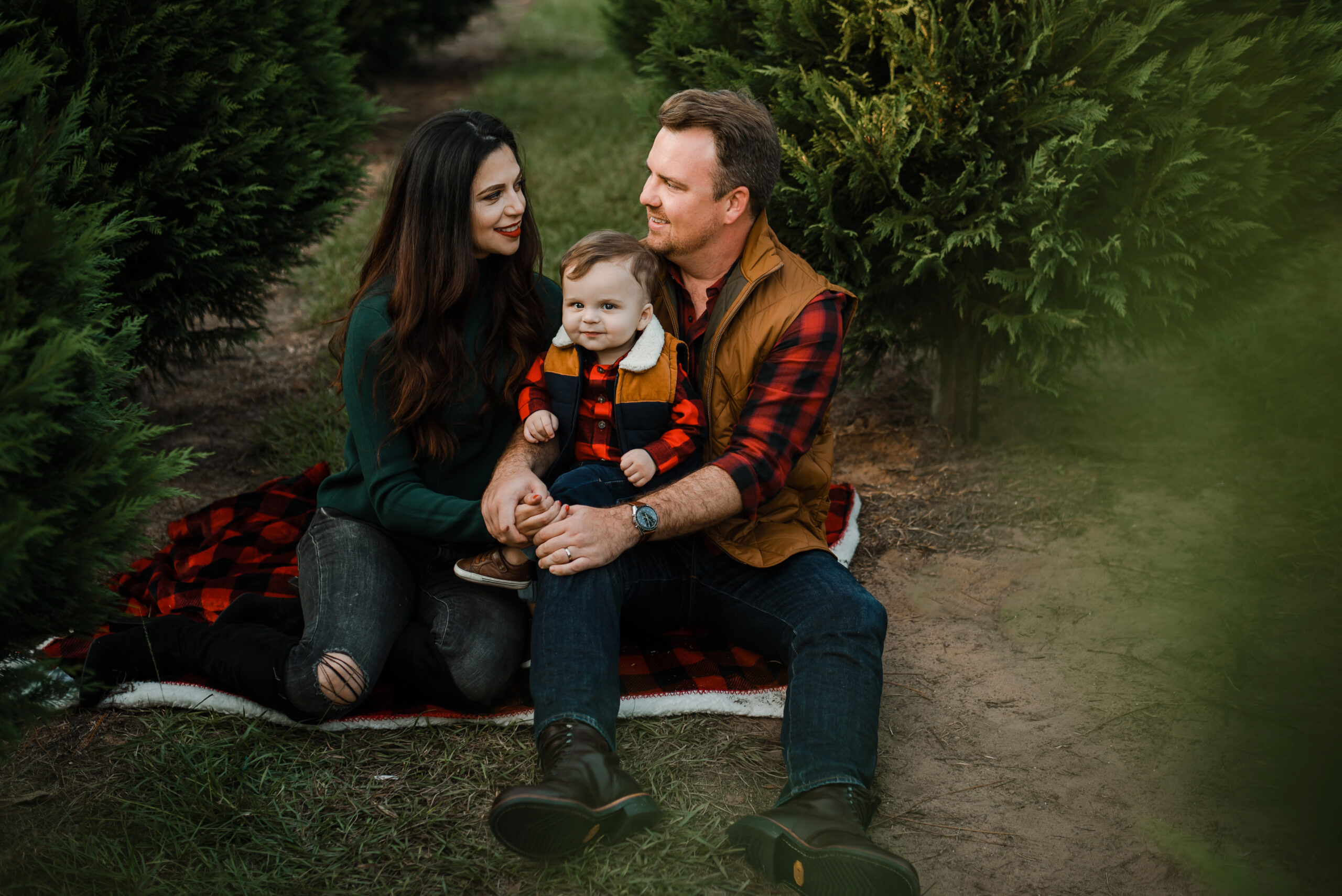 Christmas Tree Farm Sessions Pensacola FL