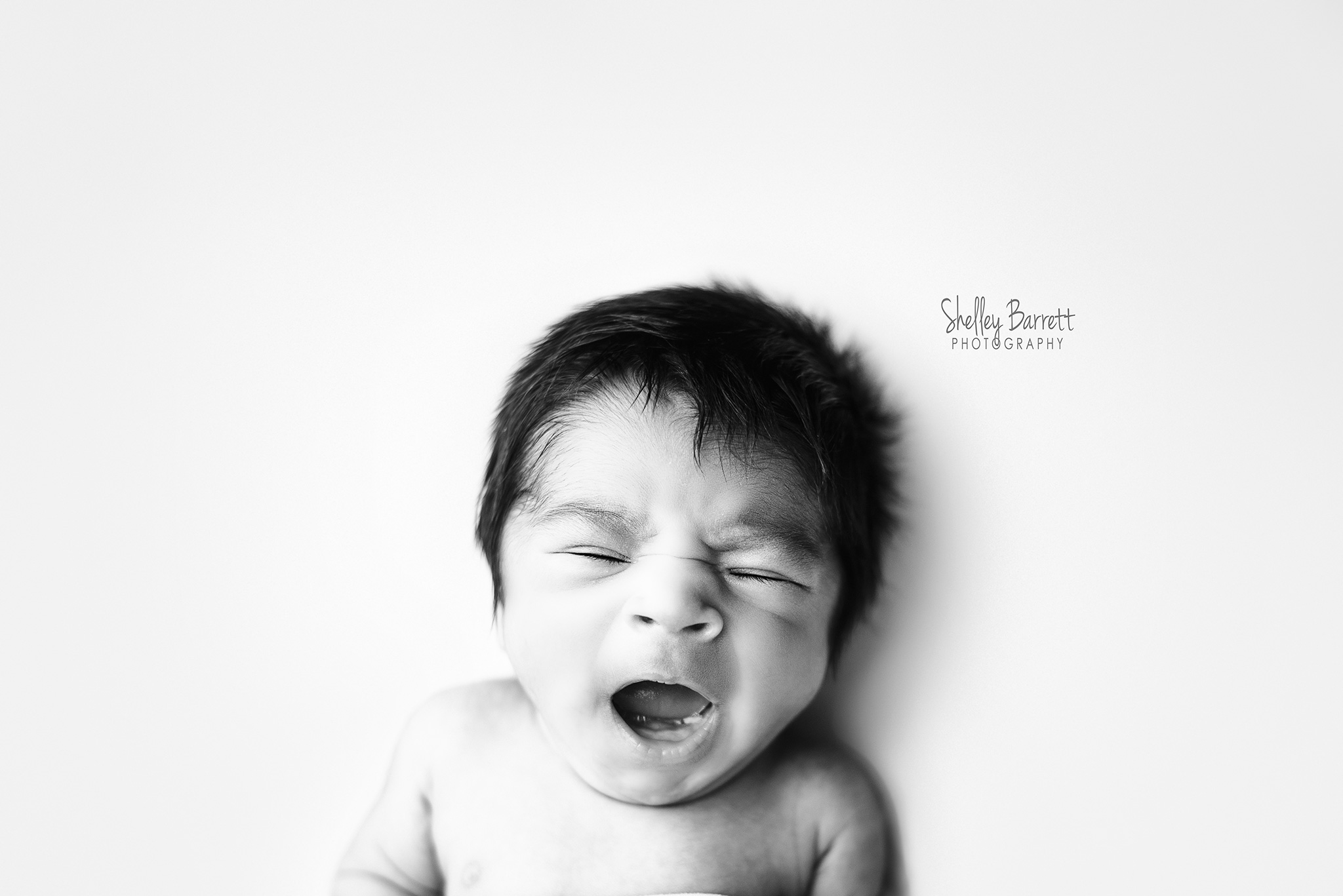 web-SBP-newborn-royce-1