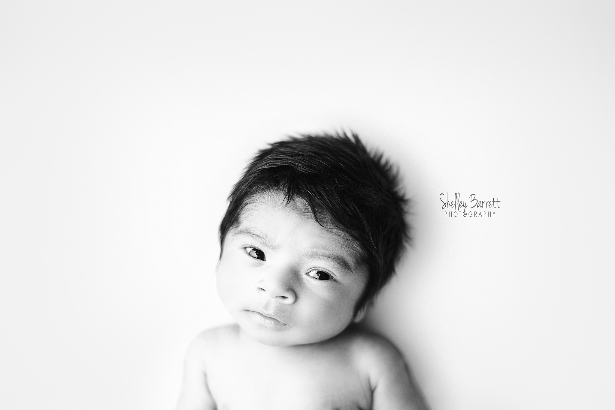 web-SBP-newborn-royce-2