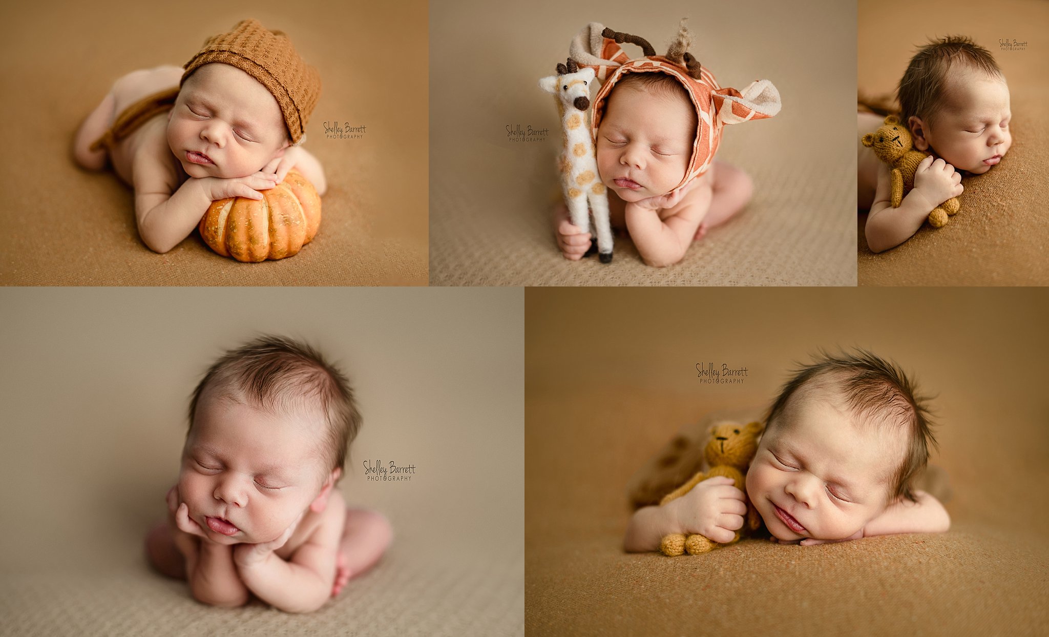 Meadowbrook newborn photography, award winning baby photographer, Birmingham AL newborn photographer, Vestavia Hills newborn portraits