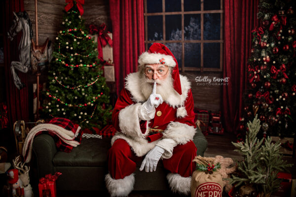 Birmingham AL holiday photography, santa photos in Birmingham Alabama, holiday portrait studio near me